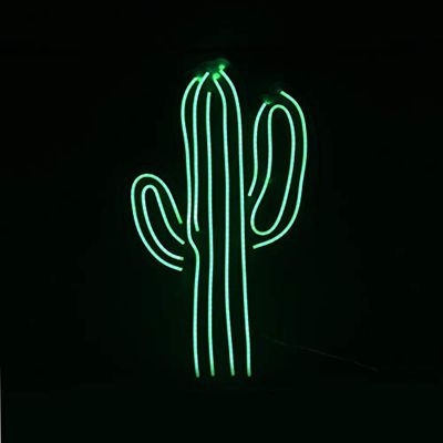 World Art Cactus