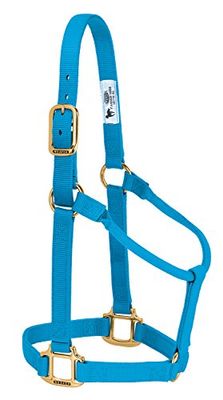 Weaver Leather Originele niet-verstelbare nylon paardenhalter, klein, orkaan blauw