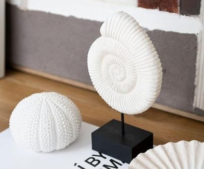 ESTATUA SHELL CEMENTO 16X7X25 CM