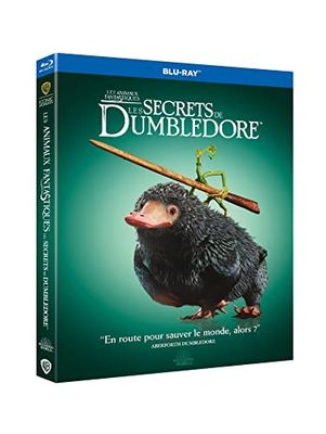 Les animaux fantastiques 3 : les secrets de dumbledore