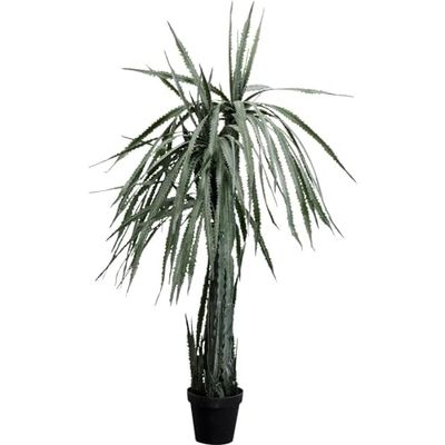 Kare Design Decoratieve plant Dragon Tree, groen, hypoallergeen, onderhoudsvriendelijk, geen pollen of schimmelvorming, decoratief object voor de woonkamer, grote kunstplant, met pot, 155 x 70 x 70 cm