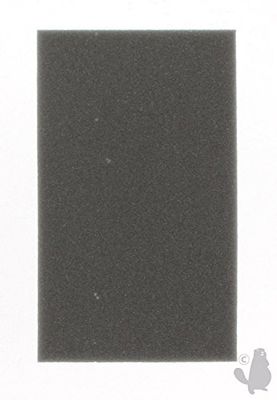 Greenstar 5391 prefiltro para motor Honda