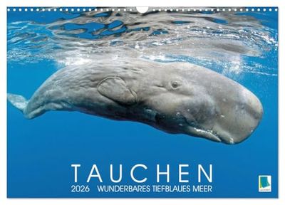 Tauchen: Wunderbares tiefblaues Meer (Wandkalender 2026 DIN A3 quer), CALVENDO Monatskalender: Großartige Unterwasseraufnahmen in der blauen Tiefe: Faszination Tauchen