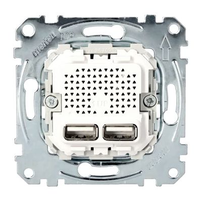 Merten EL ME 43660100 - System M USB Anschluss 2-fach - Netzteil - USB - Toma de corriente