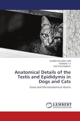 Anatomical Details of the Testis and Epididymis in Dogs and Cats: Gross and Microanatomical details