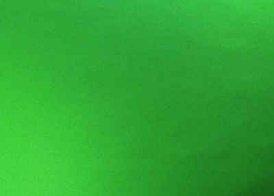 Clairefontaine - Ref 455350C - Recycled Coloured Paper (Pack of 25 Sheets) - 50 x 65cm in Size, 120gsm Recycled Paper, Acid Free, Deep-Dyed Colour - Empire Green