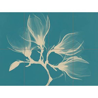Artery8 Magnolia gren röntgen blå XL jättepanel affisch (8 sektioner)