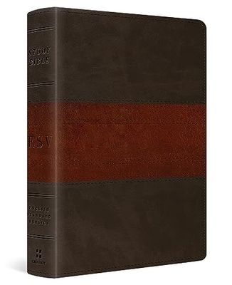 ESV Study Bible, Personal Size: Esv Study Bible, Personal Size - Trutone, Forest/tan, Trail Design