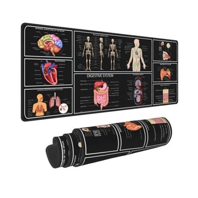 Anatomie médicale, physiologie humaine, médecin, assistant, modèle d'anatomie, physiologie, clavier de jeu, tapis de souris, tapis de souris, tapis de bureau, énorme bord cousu XL, semelle en
