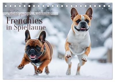 Frenchies in Spiellaune (Tischkalender 2026 DIN A5 quer), CALVENDO Monatskalender: Beliebte quirlige Kleinhunde