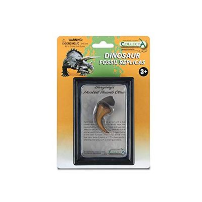 Collecta Hooked Thumb Claw of Baryonyx Box Set