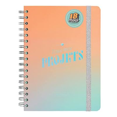Mr.Wonderful Office 2023-2024 Weekly Diary - All My Projects