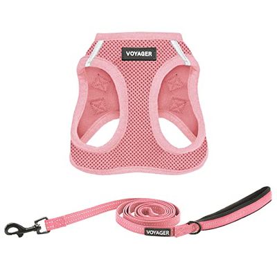 Best Pet Supplies Voyager Step-in Air – Harnais en Maille Toutes Saisons et Laisse réfléchissante de 1,5 m avec poignée en néoprène pour Chiots de Petite, Moyenne et Grande Taille (Rose), Taille XXXS