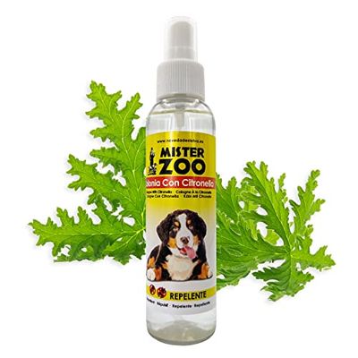 MISTER ZOO - Eau de Cologne pour Chiens, Parfum Neutralisant d'Odeurs, Spray Anti-Odeur Doux pour Chiens de Petite, Moyenne et Grande Taille (Citronnelle)