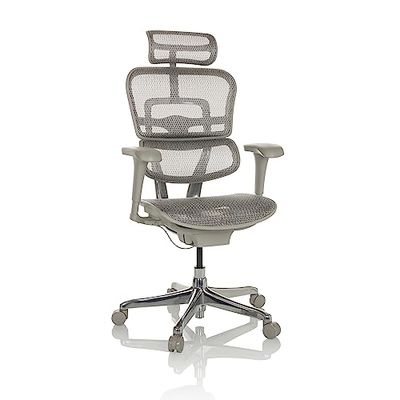 hjh OFFICE ERGOHUMAN Edition I G Silla de Oficina ergonómica con Apoyo Lumbar Flexible, Gris Claro, 652273