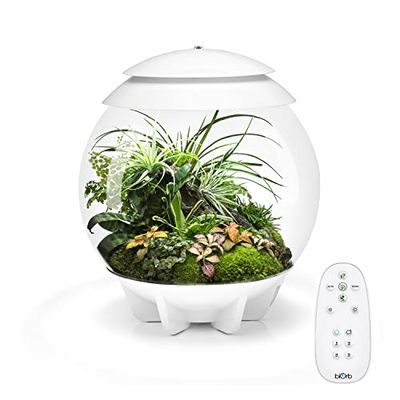 biOrb AIR 30 wit - terrarium met LED-verlichting/acryl wastafel voor plantenverzorging/voor gevoelige, exotische planten