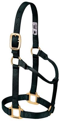Weaver Leather Licol de Cheval Original Non réglable en Nylon Noir, sevrage/Poney