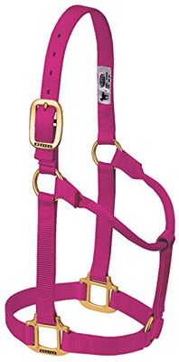 Weaver Leather Originele niet-verstelbare nylon paardenhalter, framboos, jaarling
