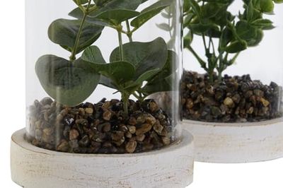 PLANTA PE CRISTAL 12X12X18 2 SURT