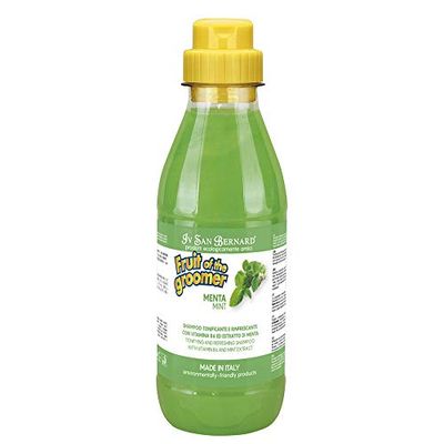 ISB FRUITS MINT SHAMPOO (500 ML)