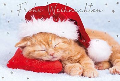 bsb Greeting Card Christmas Card Advent Calendar "Sleeping Cat with Hat"