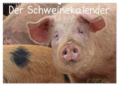 Der Schweinekalender (Wandkalender 2026 DIN A2 quer), CALVENDO Monatskalender: Glückliche Schweine in artgerechter Haltung, sowohl verschiedene alte ... Wildschweine in ihrer natürlichen Umgebung