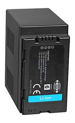 amsahr Grade A Celle della batteria (800 mAh, 7.4 V) per Panasonic Grigio