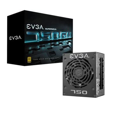 EVGA Supernova 750 GM, 80 Plus Gold 750W, Fully Modular, ECO Mode with FDB Fan, 10 Year Warranty, Includes Power on Self Tester, SFX Form Factor, Power Supply 123-GM-0750-X2 (EU)