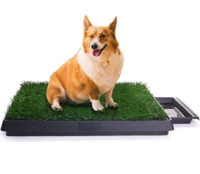 Sailnovo Lettiera in Erba Sintetica per Cani, Tappetino Toilette WC Ideale per Cuccioli, Lettiera per Cani Cuccioli di Media Taglia con Erba Sintetica Assorbente per Addestramento