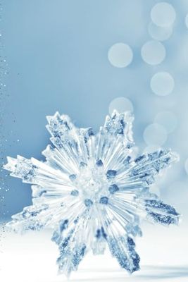 Let it Snow Snowflake Notebook