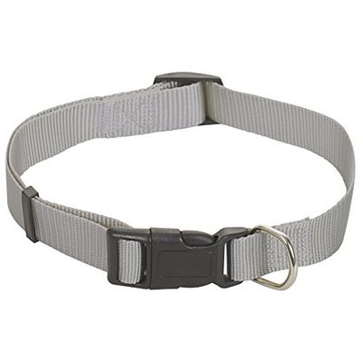 CHAPUIS SELLERIE SLA167 Collare regolabile per cani e gatti - Collare in nylon grigio - Larghezza 10 mm - Lunghezza 20-35 cm - Misura XS