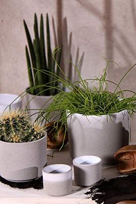 Ivyline Leon Granite Planter D20.5Cm, One Size, 99420LG