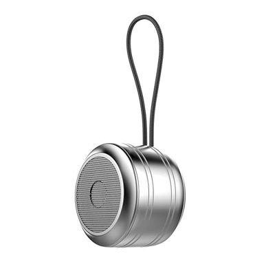 Bluetooth-högtalare, Rawrr bärbar utomhus mini Bluetooth-låda, handsfree-funktion för telefon, enormer med basdrivrutiner, högtalare för hem, utomhus, trädgård, silver