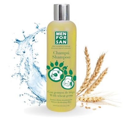 Shampooing Men for San Furet Germe de blé (300 ml)