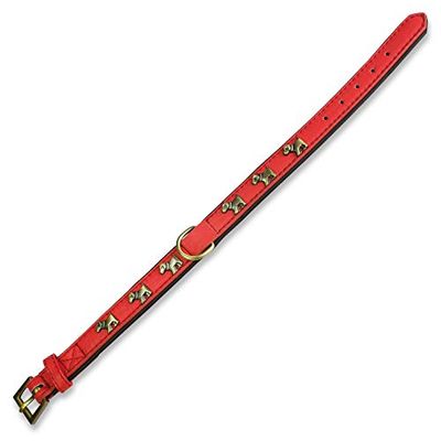 Arquivet 8435117802568 halsband leder hond rood 2 x 45 cm