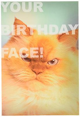 Hallmark Shoebox Collectie Verjaardagskaart - Grappig Fotografisch Boos Kat Ontwerp