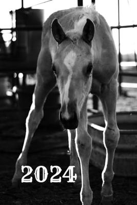 2024 Weekly Planner: Baby Horse Calendar 6" x 9": Horse Calendar 6" x 9" inches