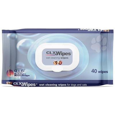 I.C.F. - Clx Wipes 40 Salv. - Salviettine detergenti umidificate