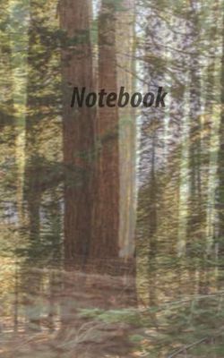 English Grammar Notebook Grade 3