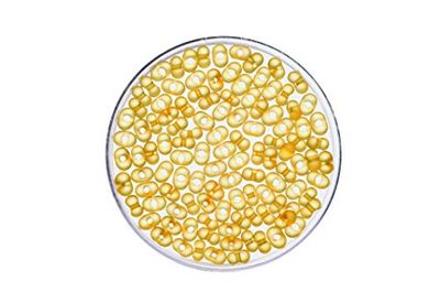 GLOREX Farfalle 2/4 mm Mat 17 g, Jaune, 4 x 4 x 1,5 cm