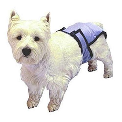 PoochPad poochpant pañales