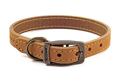 Ancol Timberwolf Collier Confortable et Durable en Cuir Moutarde pour Chien Accessoire de Dressage 26-31 cm Taille 2