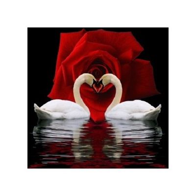 Diamond Painting Kit Swan Devotion AZ-421