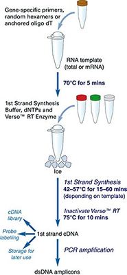 ABGENE 017252 Verso 1-Step Kit met thermo-start, 200 x 50 μL