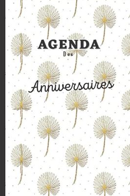 Agenda des Anniversaires: Calendrier des Anniversaires. Un Calendrier perpétuel pour mémoriser les anniversaires de ses proches (famille, amis) et ... fête...). Cadeau à s'offrir ou à offrir !