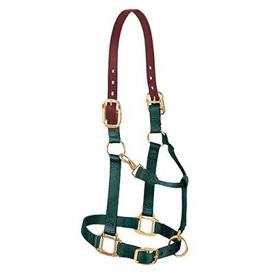 Weaver Licol réglable en Cuir Nylon pour Cheval