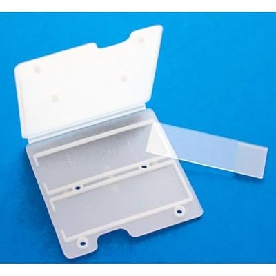CARTERA PLASTICO PARA PORTAOBJETOS 1UD