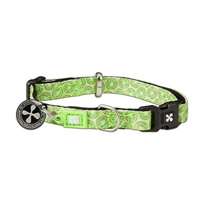 MAX & Molly Gotcha! Smart ID - Collar para Perro, Color Kiwi, Multicolor, Talla XS