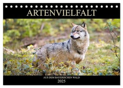 ARTENVIELFALT aus dem Bayerischen Wald (Tischkalender 2025 DIN A5 quer), CALVENDO Monatskalender: Faszinierende Tier-Aufnahmen aus dem Bayerischen Wald