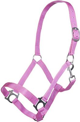 Hkm 4057052242533 Licol intérieur Bruck 3900 Pinkvollblut